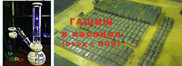 мяу мяу мука Аркадак