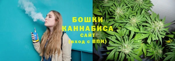 шишки Армянск