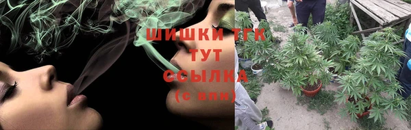 шишки Армянск