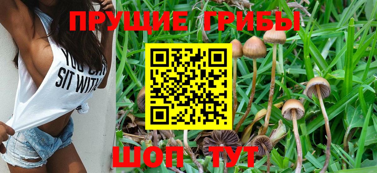 Канабис  Заинск  Купить  Вход с VPN  ТГК  Меф МЯУ МЯУ   ГАШ  ГАШИШ 