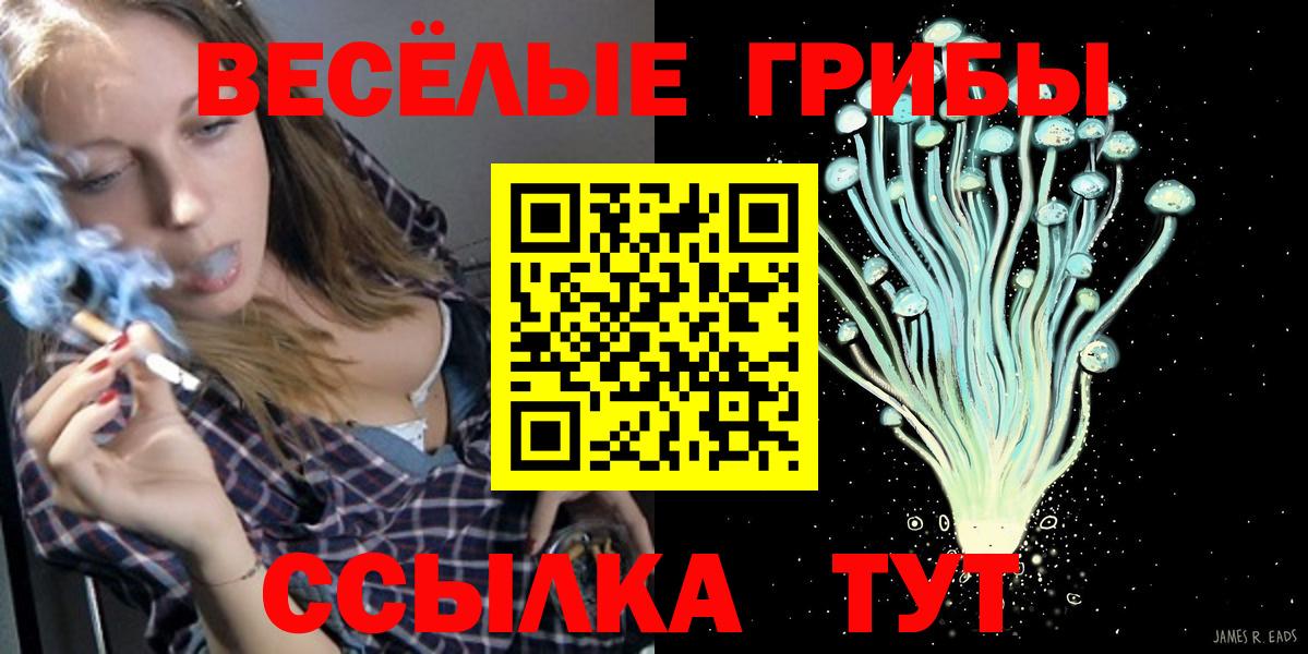 Галлюциногенные грибы Cubensis Заинск